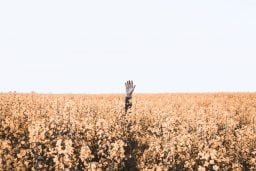 Are you one of the 2/3 of managers unprepared for the new 'PHYGITAL' WORK ERA?